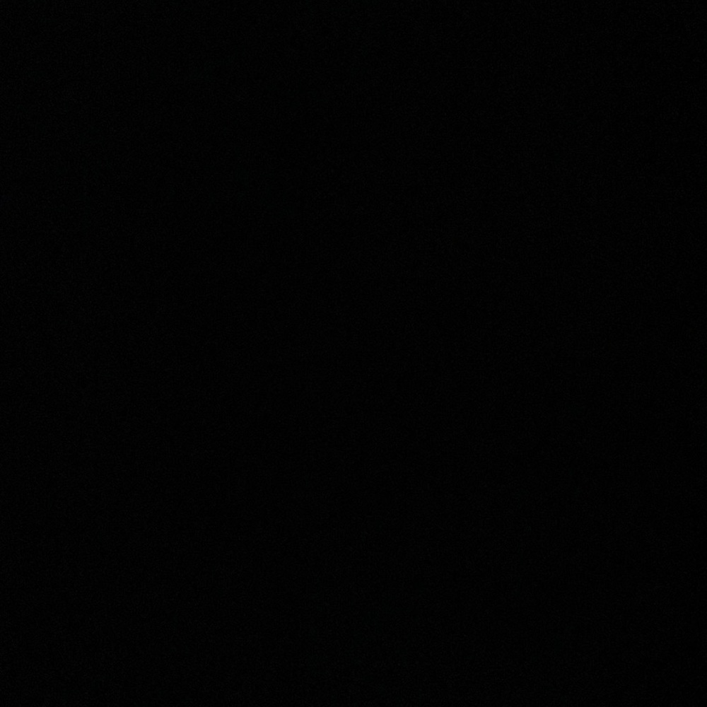 Meet your Posher, Paloma